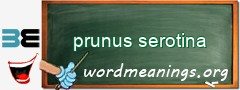 WordMeaning blackboard for prunus serotina